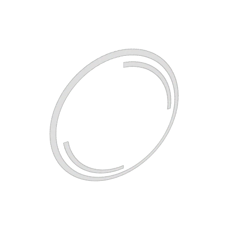 2d ring target 20